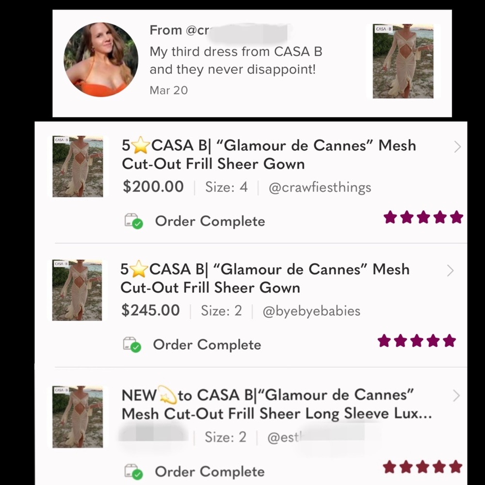 5⭐️CASA B| “Glamour de Cannes” Mesh Cut-Out Frill Sheer Gown - Picture 15 of 17